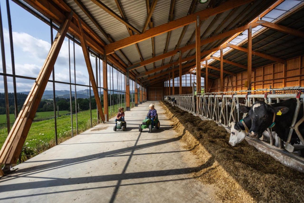 Hof Keppel, Der Stromlose Urlaub Fue Schmallenberg Zewnętrze zdjęcie